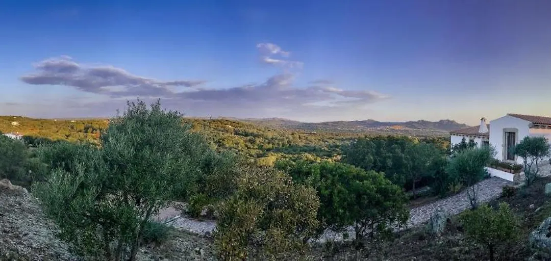 Dolce Luna-1